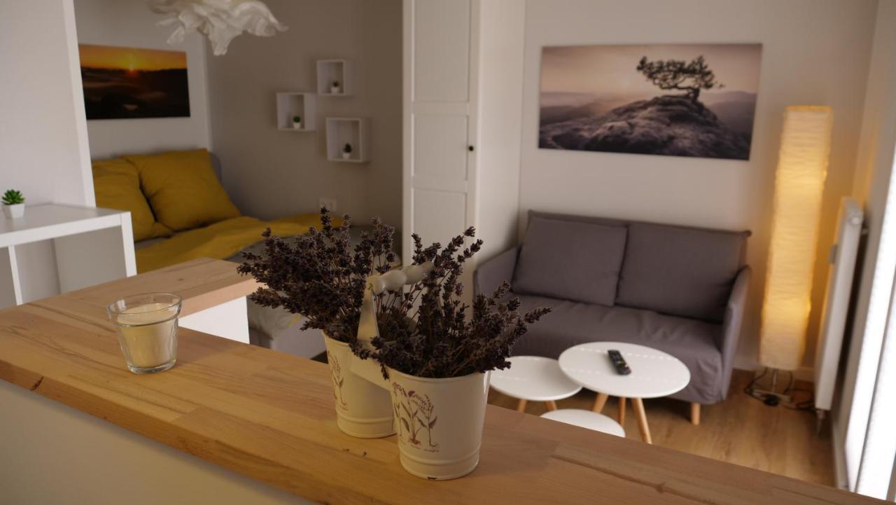 Ferienwohnung Gottleubapark Apartment Pirna Buitenkant foto